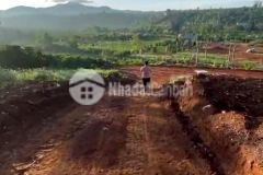 Bán đất nền nghỉ dưỡng xã lộc đức bảo lâm lâm đồng, shr, giá từ 11.8trm2. lh0879863999