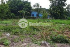 Bán hơn 10000m2 đất sẵn 400m2 thổ xã phú hoà đông, củ chi. shr, 54 tỷ. lh0777292888