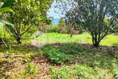 Bán đất vườn thổ cư khánh đông khánh vĩnh giá rẻ