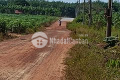 Tấn có lô đất sào trên 1000m2 và tọa lạc tại xã minh hòa, dầu tiếng, bình dương.