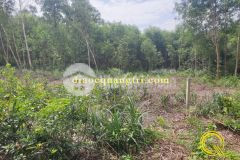 Bất động sản quảng trị thôn an bình, xã cam thanh, huyện cam lộ, tỉnh quảng trị