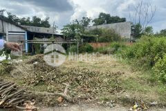 Đất gần trung tâm củ chi giá rẻ 6x15 giá chỉ 1 tỷ 280 triệu có shr