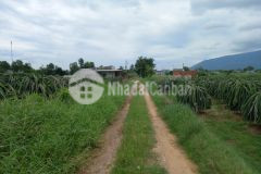 Đất bds lập đức tân lập thuận nam 34x52 1,22 triệum bình thuận đất ở còn đầu tư được