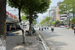 Cực hiếm mảnh đất vàng mặt phố trần thái tông, cầu giấy 305m2, mặt tiền rộng, tuyệt đẹp