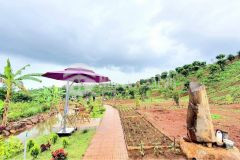 Siêu phẩm bảo lộc lâm đồng, nơi hội tụ các nhà đầu tư.