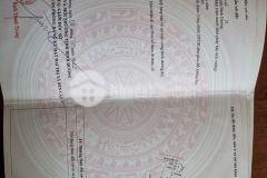 Hàng hiếm phú an bến cát bình dương