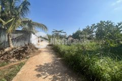 Bán 2 lô lk giá đầu tư sau chợ eakao bmt chỉ với 820 triệu