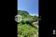 Mảnh đất rộng gần 600m2 tại phan cán sử nơi tập trung khu giải trí của y tý