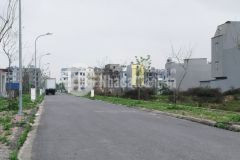 Bán lô th7 kđt tùng bách quế võ bắc ninh giá 5.35 tỷ. lh 0388153811