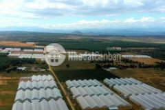 12.000m2 xã hồng thái vuông vức, sổ hồng riêng giá 125km2 shr