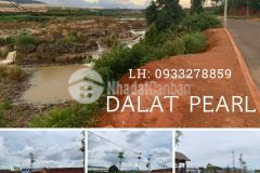 Đất nền nghỉ dưỡng dalat pearl