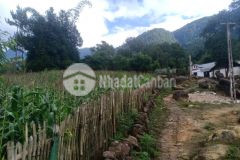 Bán mảnh đất hơn 200m2 tại trung tâm tả phìn thích hợp đầu tư đón sóng quy hoạch