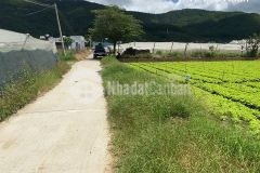 Hãy trở thành nhà đầu tư thông minh ngay hôm nay với lô đất ngay xã lạc xuân giá chỉ 700tr254m2.