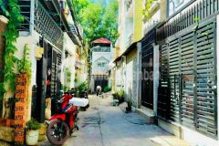 Ban nha hxh 239 ba hom phương 13 quân 6 1t 2lâu gia 3ty95