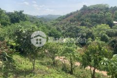 Bán đất mộc châu s1477.5m2 có nhà cấp 4 vị trí đẹp