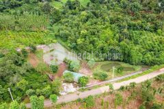 Đất sào đắk lắk buôn hồ, chưa tới 700km2 mà có thổ cư, đường nhà nước. đầu tư f0