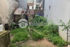 Bán đất trường lâm long biên 50m gần đường ô tô vào đất nhỉnh 3 tỷ.