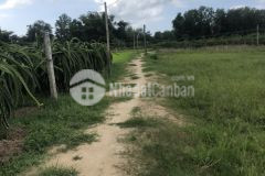 Đất bds tân tiến lagi ven biển phủ hồng đất ở 4042m giá đầu tư 1,1 triệum2 siêu lợi nhuận