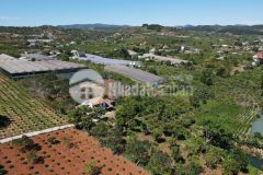 Bán 1242m2 12,3x 100m. 100 m thổ cư tại thị trấn nam ban lâm hà. giá 3 tỷ 250 triệu 0978053738