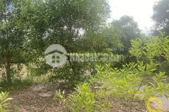 Mua bán nhà đất thượng xá hải thượng hải lăng quảng trị