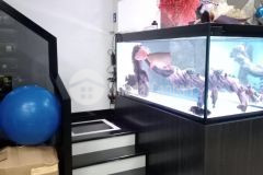 Hxh sát mặt tiền nguyễn văn cừ, quận 5, nhà đẹp ở ngay, chỉ nhỉnh 4 tỷ.