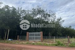 Tấn có lô đất giới thiệu đến anh chị, dt 1167m2 và có 200m2 thổ cư, rất thích hợp đầu tư.