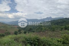 Bán đất mộc châu s3.5ha đã có sổ view đẹp