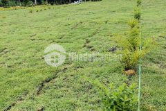 Em có lô đất bảo lâm, bảo lộc cần bán, đã có sổ hồng riêng. lh 0822963066