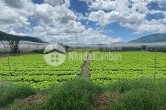 Bán lô đất nền ngay xã lạc xuân. đơn dương,sổ riêng 222m2 giá 700 triệu lh 0978053738