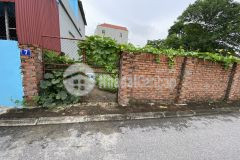 Đất tại an đào d trâu quỳ oto chạy thông chỉ 2ty915. lh 0336050957 53m, đất vuông vắn không lỗ