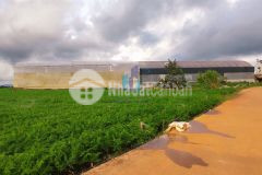 Đất thổ cư xuân thọ đà lạt 2128m2 giá 25 tỷ