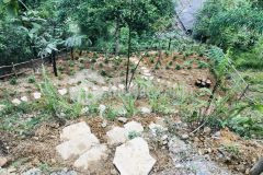 Bán gấp 210m2 đất tà phìn kdl quốc gia sapa lào cai, view thung lũng siêu vip.