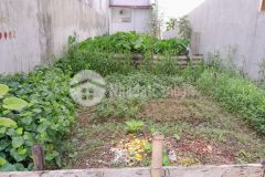 Bán gấp 75m2 đất mt5m đường 6m khu đấu giá sáp mai võng la đông anh