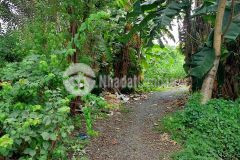 Hiếm mua đất tặng dãy trọ trung tâm thủ đức dòng tiền hằng tháng 183m2 47trm2