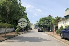 Bán gấp lô đất 230m2 x mặt tiền 12m khu 31ha thị trấn trâu quỳ, gia lâm, hà nội giá chỉ 90trm2.