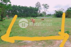 Phú ngạn,thanh an,cam lộ..........