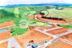 Bán 4000m2 đất thổ cư mt lý thường kiệt, p.lộc phát, bảo lộc, shr, 8 tỷ. lh0832577979.