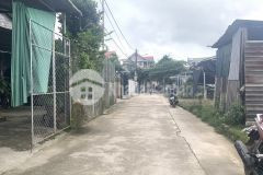 Kiệt kim long thông nguyễn hoàng giá 2,x tỷ