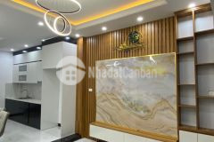 Nhà đẹp 5t ngõ thông ôtô, trung tâm bồ đề, 37m2, 4.8tỷ