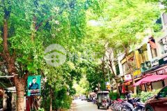 Phân lô hai bà trưng,ôto tránh,kd,căn góc,55m2x4,mt12m,lh916600189.