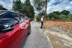 Nông trường việt trung, bố trạch quảng bình