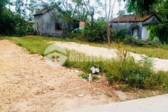 Chủ cần bán gấp lô đất kiệt 77 trần hoàn giá yêu thương 7xx