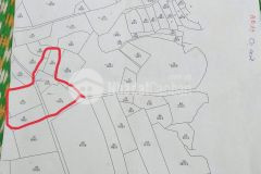 Chú em có mảnh đất s 5000m2 ở chiềng đi mộc châu cần bán