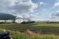 Chính chủ cần bán 254m2. 5x 50m ngay xã lạc xuân.đơn dương,sổ riêng.giá 700 triệu. lh 097805378