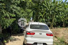 Điện thọ điện bàn, dt323m, chỉ 679tr.thích hợp làm nhà vườn, nghỉ dưỡng.