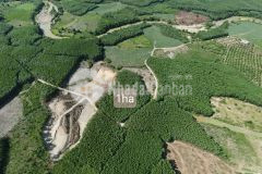 Bán đất thôn bến khế khánh bình