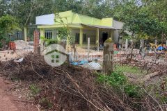 Xinh chào, tấn xinh gới thiệu đến anh chị một lô đất có 20m ngang và 100m tc, ở long hòa, dầu tiếng.