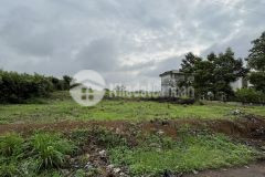 Cần tiền đi nước ngoài nên bán gấp đất gần sân bay long thành