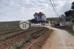 Bán mảnh đất tại tk68 ở thị trấn nông trường mộc châu