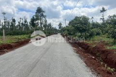 Đường nhựa lớn, 2 sào rẻ hơn khu vực